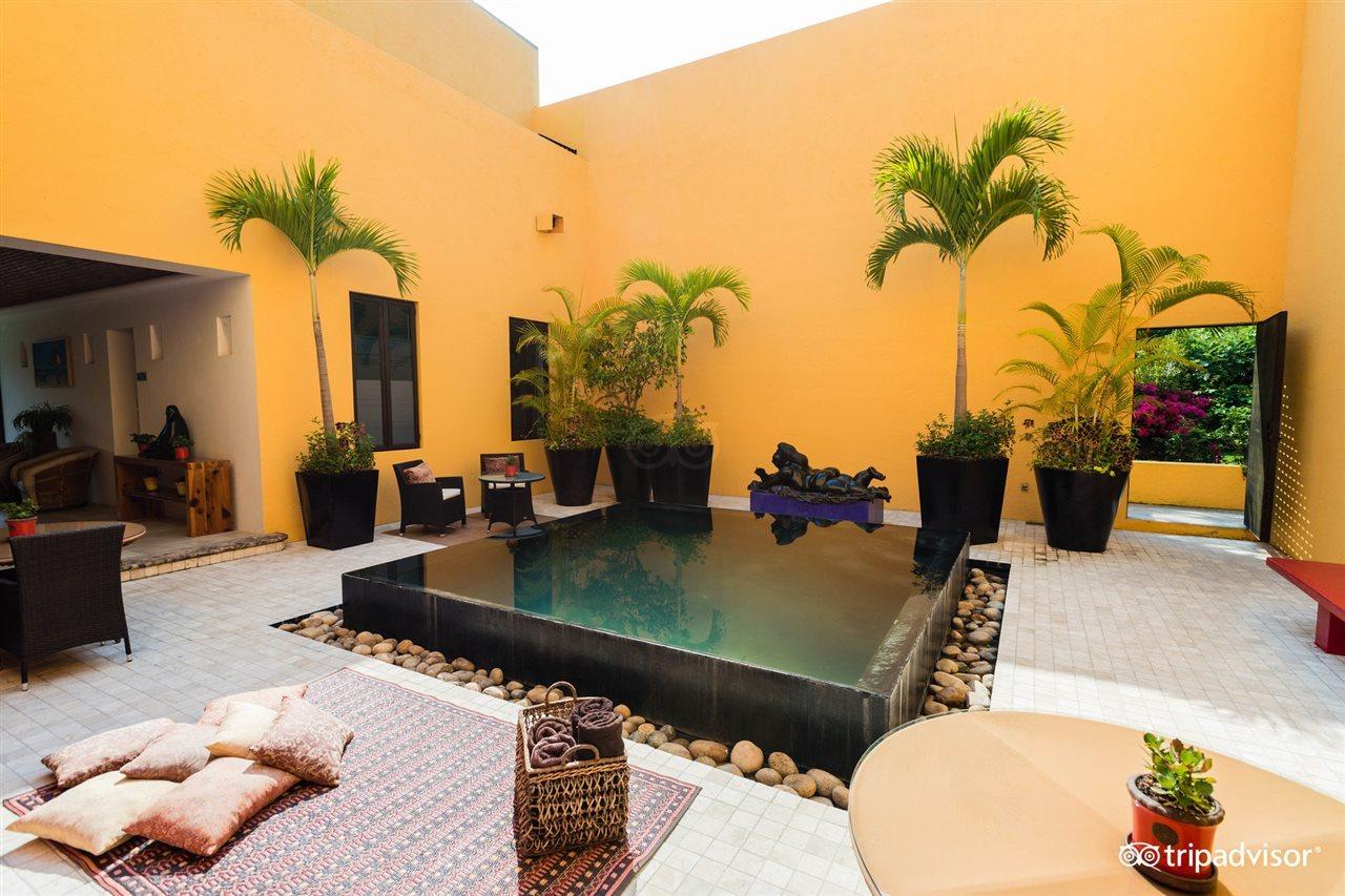 Villa Azalea Inn & Organic Farm JALISCO 外观 照片