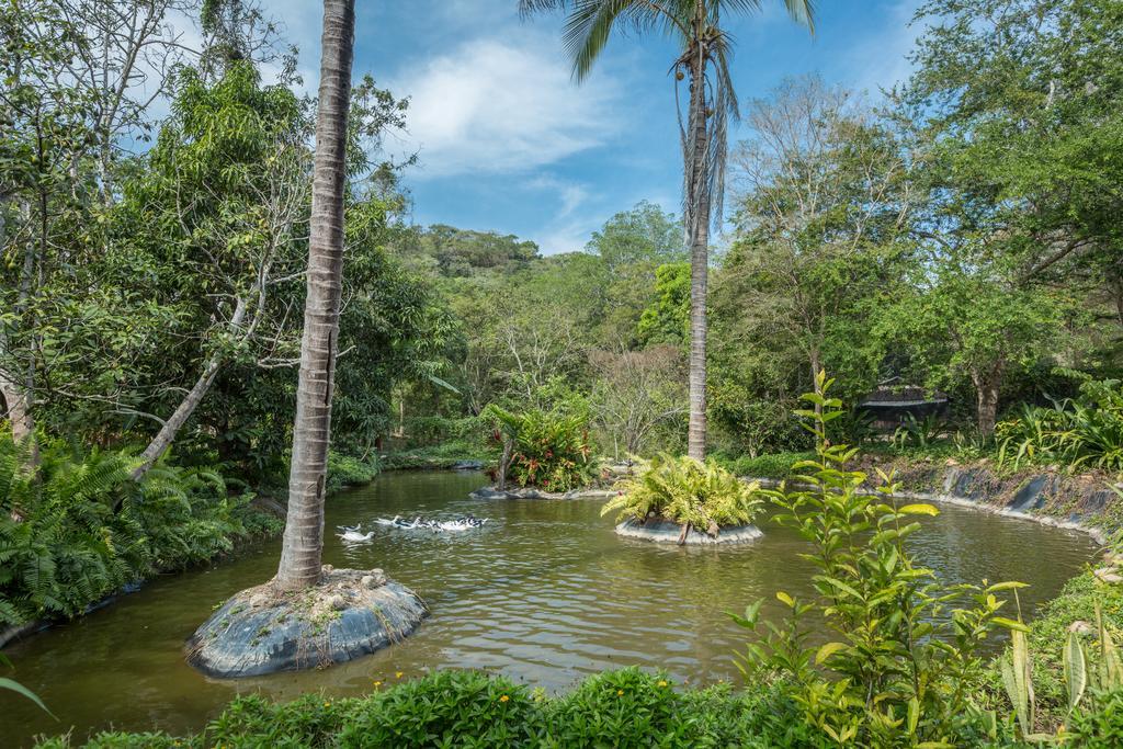 Villa Azalea Inn & Organic Farm JALISCO 外观 照片