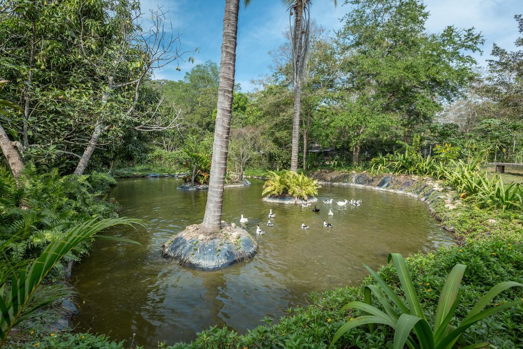 Villa Azalea Inn & Organic Farm JALISCO 外观 照片