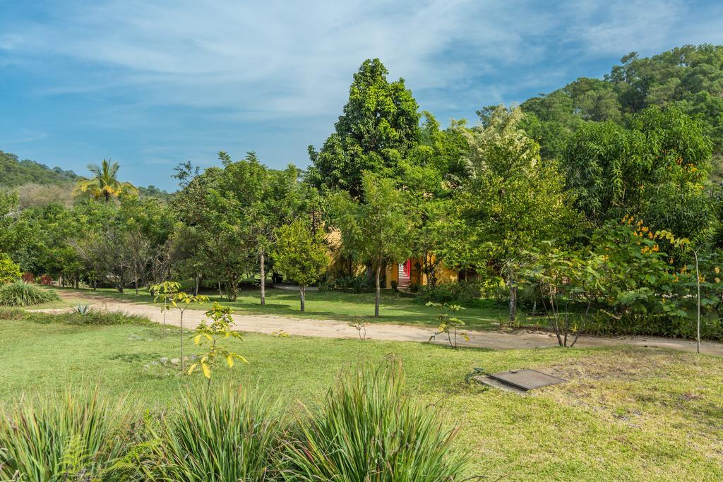 Villa Azalea Inn & Organic Farm JALISCO 外观 照片