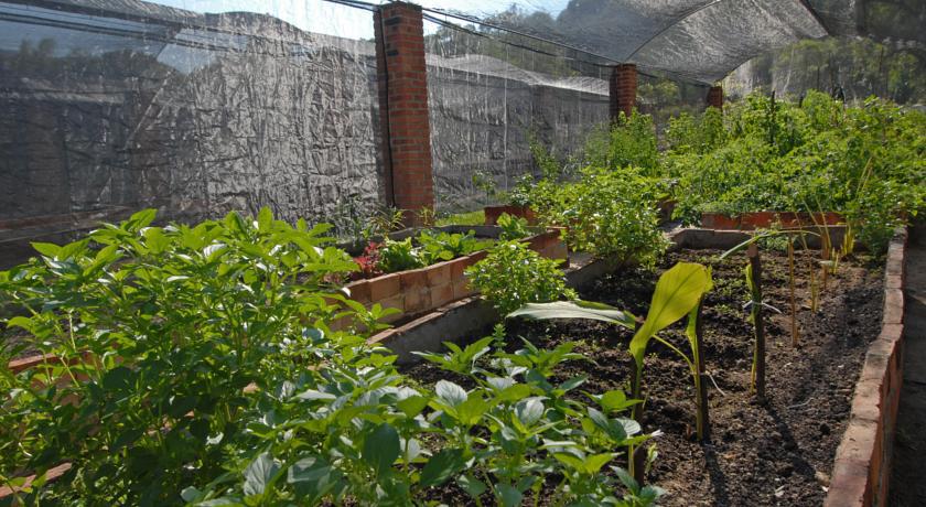 Villa Azalea Inn & Organic Farm JALISCO 外观 照片