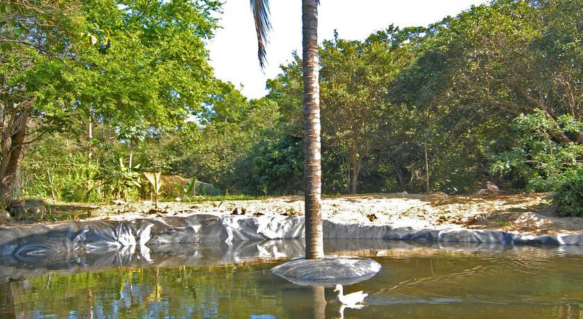 Villa Azalea Inn & Organic Farm JALISCO 外观 照片